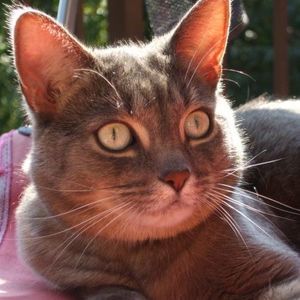 🇨🇦 Meet your Posher,  Sonia 🇨🇦